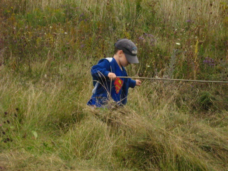 At Rowan Tree Farm, September 2009