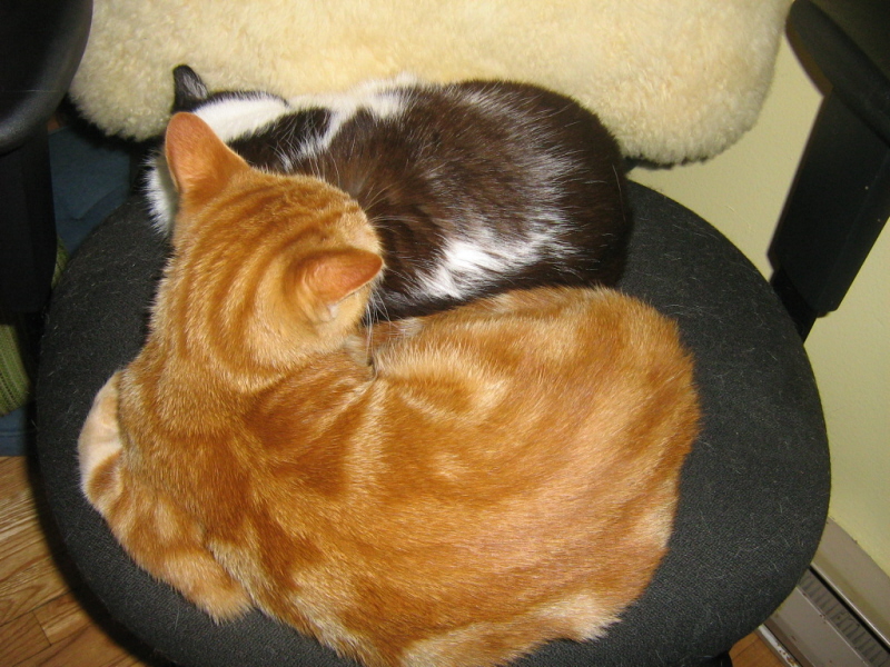 Gryff and Mags, April 14 2008