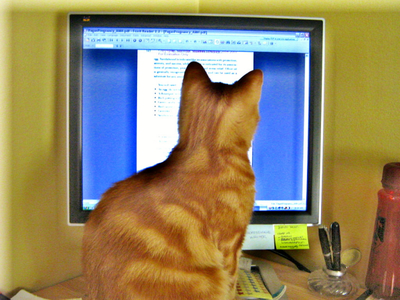 Gryffindor helps with the page proofs, March 27 2008
