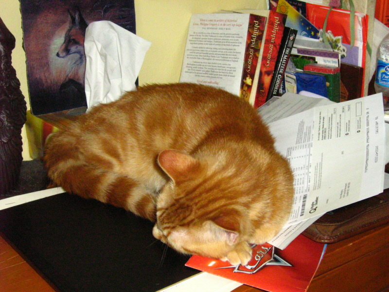 Gryffindor succumbs to Kitten Narcolepsy, March 19 2008
